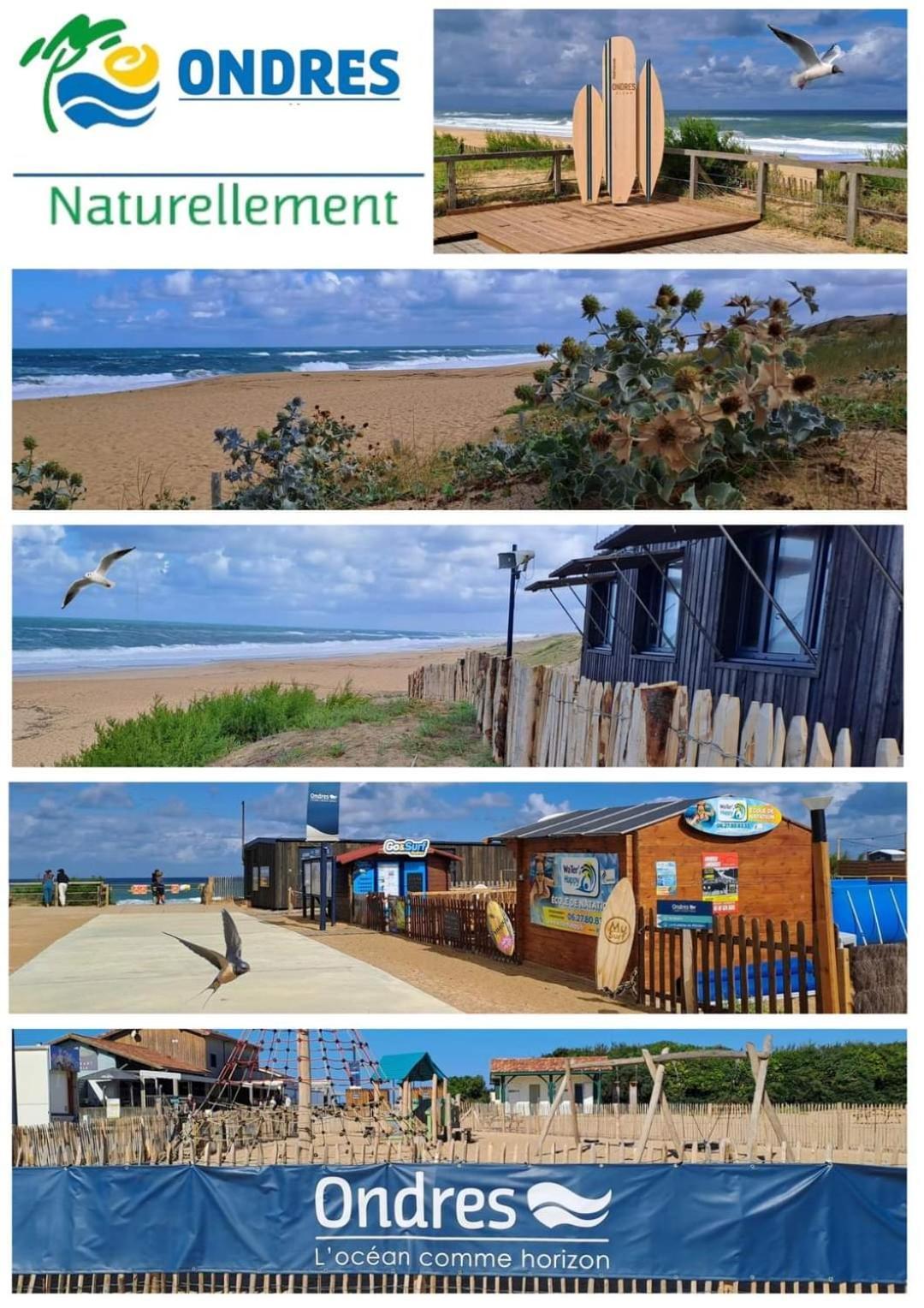 T2 Turquoise Ondres Plage Avec Piscine Et Tennis Εξωτερικό φωτογραφία